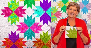 Make A Bear Paw Point Quilt With Jenny Doan