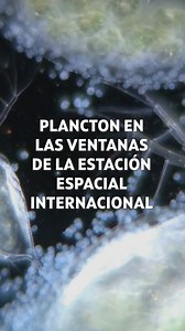 22K views · 141 reactions | ¿Cómo pudieron llegar restos de plancton marino vivo a la ventana de la Estación Espacial Internacional? Descúbrelo en "Alienígenas", los jueves a las 22:30 en DMAX. #DMAX2025 #Alienígenas #Plancton #Espacio | DMAX España | Facebook