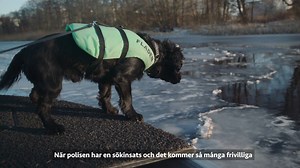 163K views · 1.8K reactions | Den 11 februari delas det årliga 112-priset ut av oss på SOS Alarm. Priset tilledelades i år Polisen, Försvarsmakten och Missing People Sweden för fantastiska samverkansinsatser i sökandet efter 12-årige Dante i november 2018. Stort grattis alla pristagare. | SOS Alarm | Facebook