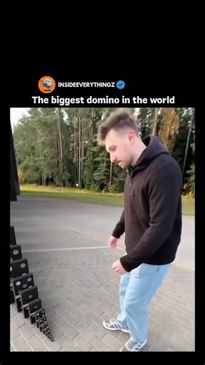 Explore l Learn l Facts on Instagram: "The biggest domino in the world is built like a giant block, carefully engineered to fall with perfect balance and timing. It’s usually made from lightweight but sturdy materials so it can stand tall without collapsing too early. When it finally tips, the force it creates travels through a chain of thousands of smaller dominos, creating a massive and satisfying cascade. Watching it fall is not just fun—it shows how a tiny push can trigger a huge reaction, m