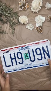 423K views · 3.2K reactions | 癩I gave this license plate the best makeover ever!! Perfect for spring! #crafts #crafting #diy #diyideas #flowers | Lee Lexi Creations | Facebook