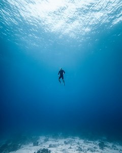 16K views · 861 reactions | Underwater poetry of our island. Ever since we were kids, freediving around the reef has allowed us to connect with the ocean and its creatures. Today, it helps us to stay committed to our mission. Below the surface our heartbeats slow down, our minds calm: we are fully focused. We have to save the reef. Sound on for a full immersion into a mysterious world of silent beauty. Video by @shoniimu #coralgardeners #savethereef #wethereef | Coral Gardeners | Facebook