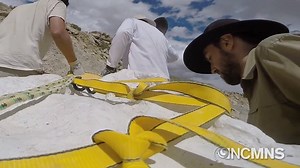 An egg-cellent discovery — Researchers from the NC State College of Sciences and North Carolina Museum of Natural Sciences have discovered a complete nest of dinosaur eggs in Utah. While complete dinosaur nests and eggs have been found in North America before, this one is unique as it belonged to a group of bird-like dinosaurs called "caenagnathids." Take a look at the process and learn more about what they plan to do with the eggs: http://thinkand.do/NEDAZJ | NC State University