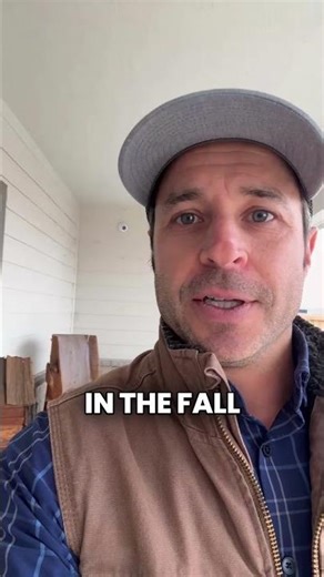 How to Protect Your Pine from Needle Cast #shorts