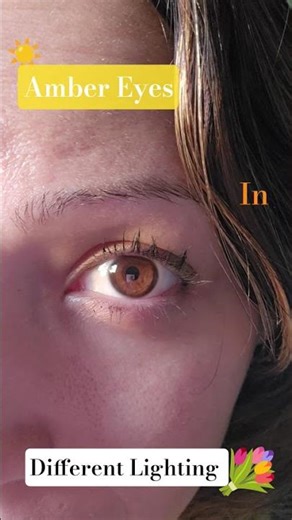 Amber Eye Color