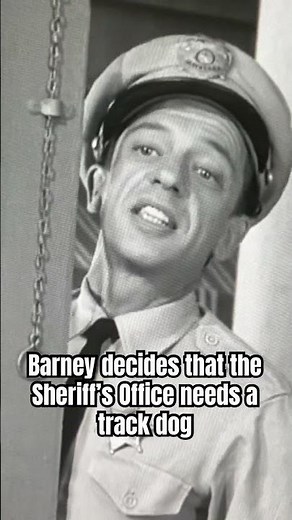 The Andy Griffith Show: Barney drags a dog named Blue into the Sheriff’s Office to join the staff