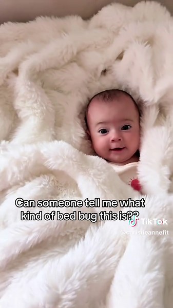 Identifying Bed Bugs: Help with a Newborn's Safety