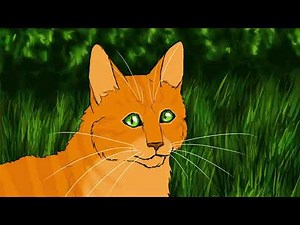 LGDC - Museau cendré, je suis en vie