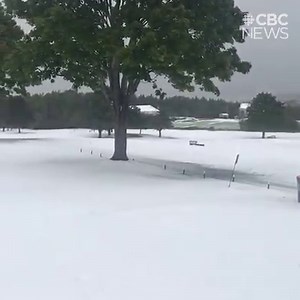 Are you ready for winter? Some residents in Antigonish, N.S., woke up to a blanket of snow Friday morning. . . . Thanks to the Antigonish Golf Club for sharing this video with us. . #snow #October #winter #autumn #weather #antigonish #novascotia | CBC Nova Scotia