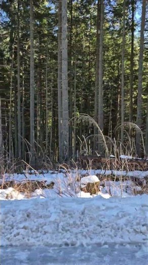 Tatra Mountains in Winter Are Unreal 🇵🇱⛰️❄️