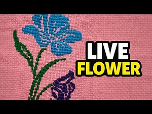 Live Cross Stitch Flower 🌸 Easy Design Step by Step