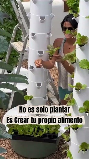 Hidroponia en casa🍀🪴🌿 #Hidroponía #Aeroponía #HuertoVertical #AgriculturaUrbana #Sustentabilidad