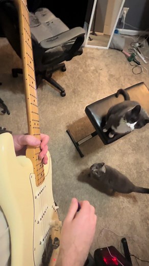 Incredible Free Bird Guitar Solo Performance
