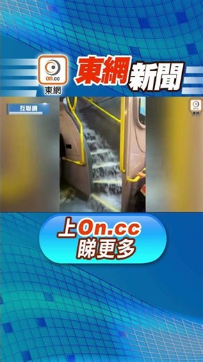 【東網新聞：暴雨肆虐 觀光巴乘客狼狽體驗 內地女笑稱 ：「與水同行」畢生難忘】