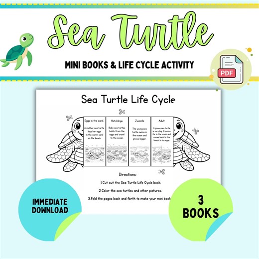 Sea Turtle Life Cycle Mini Book & Accordion Activity | Ocean Unit Printable K-2 | Interactive Science Craft | Homeschool PDF
