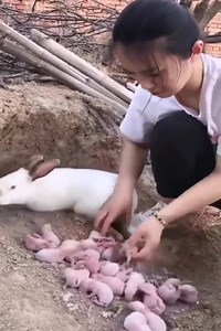 Amazing Construction Tools And Ingenious Machines 1. Watch more: https://www.facebook.com/groups/148320598151013 | Pascualillo Coronado y La Nueva Estrella Azul