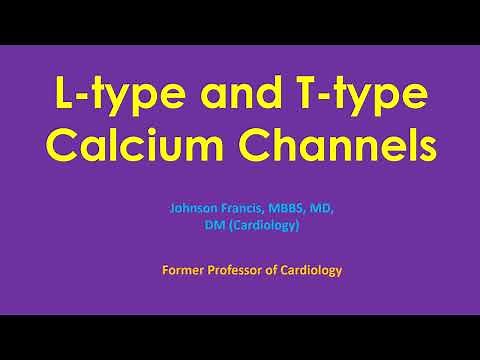 L-type and T-type Calcium Channels