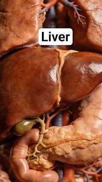 11 Best Foods for Elevated Liver Enzymes