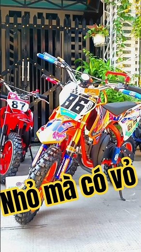xe cào cào mini 50cc - nhỏ mà có võ #automobile #motocross #caocaomini