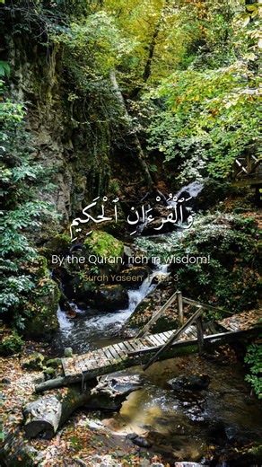 Beautiful | Surah Yaseen 36:1-3 | Mishary Alafasy #Shorts