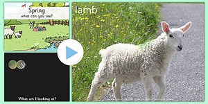 Springtime What Can You See? PowerPoint