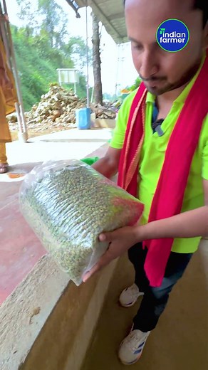 क्या आपने कभी इलायची की factory देखी है ?🤔🔥👌Cardamom Factory #indianfarmer #shorts