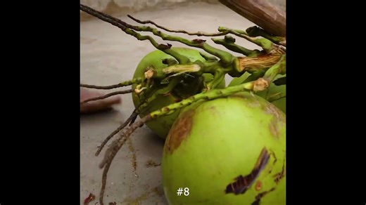 Watch this jungle pool get made from scratch!