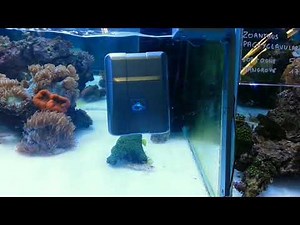 Robosnail - aquarium glas cleaning roboter