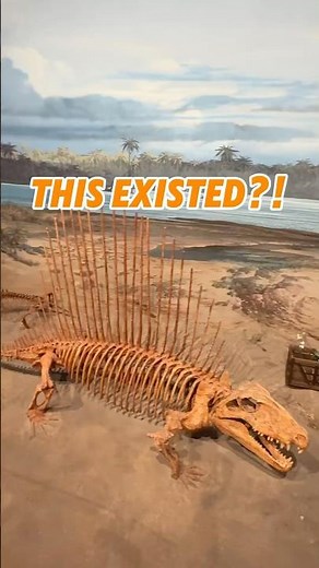 Inside One of the World’s Largest Dinosaur Museums!