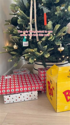 All I want for Christmas is a Big Bo Box 🎄 | Bojangles