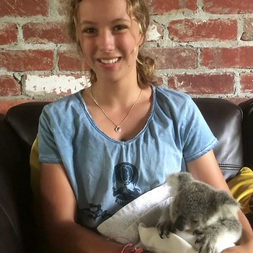 Koala lovers -can you help Izzy Bee.