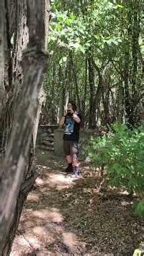 Gemshorn C soprano - "Ai Vist Lo Lop" and "Stella Splendens"