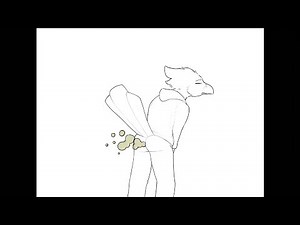 Bird Farting 🐦🍑💨