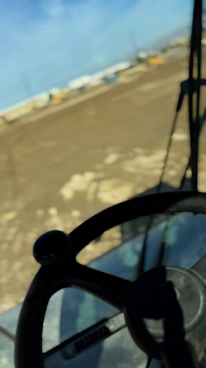 7.7K views · 1.1K reactions | I hope this ain’t you #kavahai #kava #hawaii #tonga #samoa #polynesian #fiji #kavabar | KavaHai | Facebook