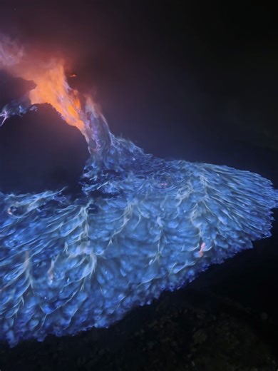 Tommy Little on Reels