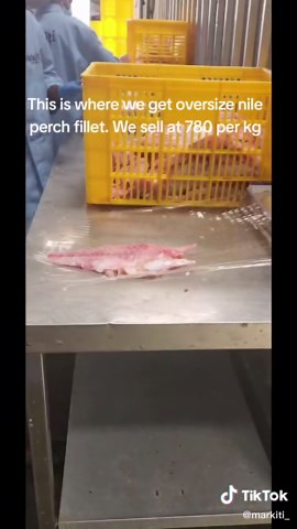 Get Authentic Oversize Nile Perch Fillet | Order Online