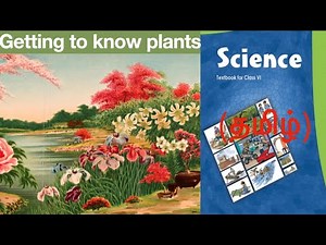 Science Class 6 Chapter 7 (OLD VERSION)