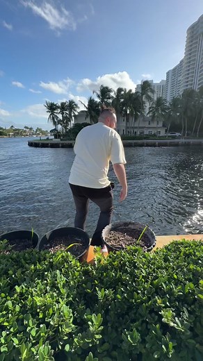 Live on kick with #nlechoppa 😳 #jackdoherty