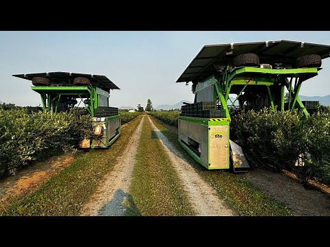 Harvy-500 Solar-Powered Blueberry Harvester | Revolutionizing Sustainable Farming