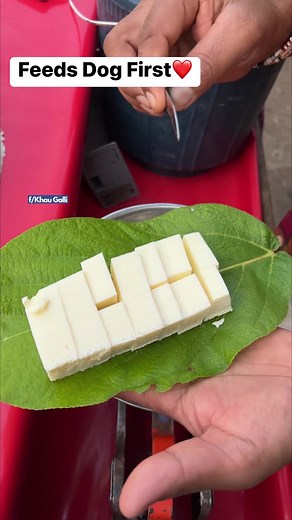 114K views · 1.2K reactions | Mumbai’s Humble Man Feeds Dog First Malai | Indian Street Food #malai #dog #streetfood | Khau Galli | Facebook