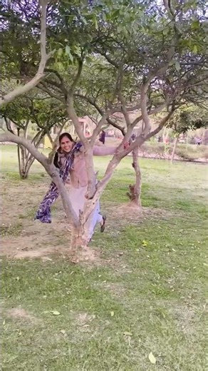 trending reel #shorttrending #vairalsong #song #sendeep surila song#banglo me #hariyanvisong #tr