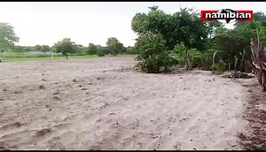 3.1K views · 34 reactions | PLOUGHING ... Northern communal farmers, who depend mainly on subsistence farming of crops such as sorghum, pearl millet (mahangu), and beans, have started clearing their fields after heavy rains. The much-anticipated rain was met with excitement. "We are really pleased to see the rain has come, and this time it's giving us hope to start clearing our fields for planting," says farmer George Hafilwa. Video: Anna Shinana | The Namibian | Facebook