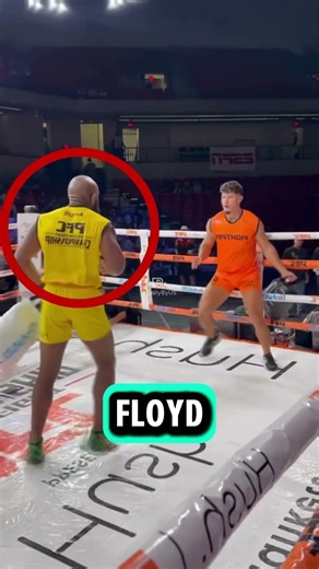 Never Underestimate a Pillow #shorts #funny #knockout