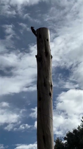 Un #ave alimenta a su #polluelo ☺️ #wearealangie #life #lifequotes #travel #winter #motivational