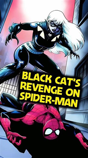 Black Cat Revenge on Spider-Man