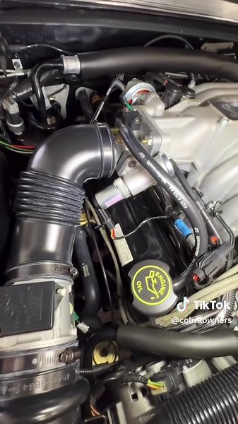 Exploring the Impeccable 1993 Cobra Engine Compartment