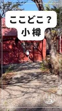 【北海道・小樽】ここどこ？小樽🤔 この小樽の秘境わかりますか？ Where is this place in Otaru? 🤔
