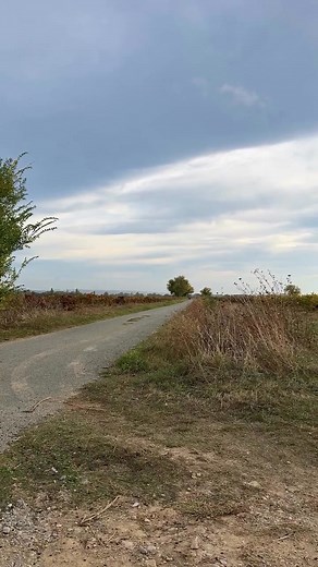 33K views · 520 reactions | Listen to that oldschool 1.8KR 16V GTI ENGINE SCREAM! Owner:@rcrgarage_performance Setup: Maxxecu street Machined head Ferrea valve Cat cams spring ... Cat cams 299 camshaft Wiseco 13:1 Crankshaft light Forged rods 50 mm itb Header 4:1 equal with 76 mm exhaust | Turbo & Stance | Facebook