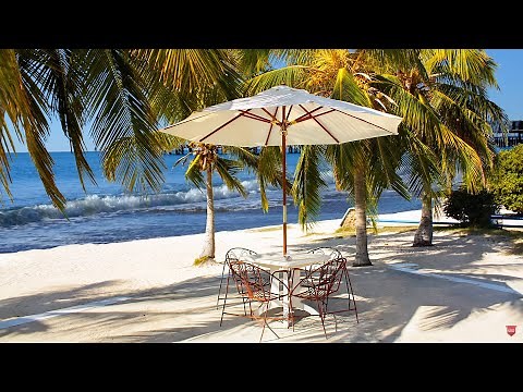 Outdoor Seaside Cafe Ambience & Bossa Nova Music☕ Outdoor Coffee Shop Sounds ASMR, Ocean Wave Sounds