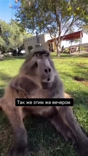 У вас так же? 😂 #юмор #рек #прикол #смех #муж